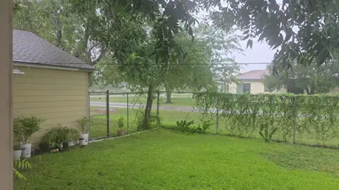 El clima en texas esta muy loco, un segundo esta el sol y al siguiente se viene la lluvia... 🌞⛈️