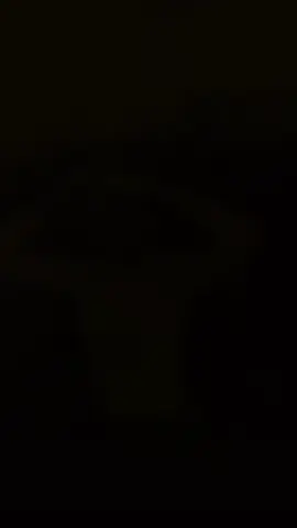 #CapCut 