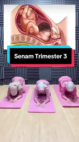 Bund boleh lakukan saat trimester 3 ya🥰 #senam #olahraga #kehamilan #bumilhappy #bumilsehat #foryou #fyp #kesehatan #bidan #edukasi #edukasikesehatan 