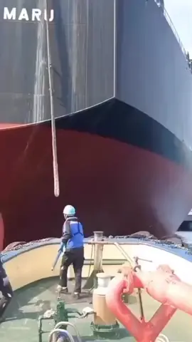 Proses kapal bersandar ternyata penuh risiko, terutama pada saat pemasangan tali tambat. Video ini menjelaskan bahaya tersembunyi dan solusi teknologinya. #kapal #tahukahkamu 