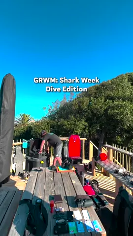 Follow along as @Dickie Chivell gets ready to dive in with the sharks 🤿 Catch Dickie in Great White Assassins when #SharkWeek returns July 20 on Discovery. #sharks #diving #GRWM 