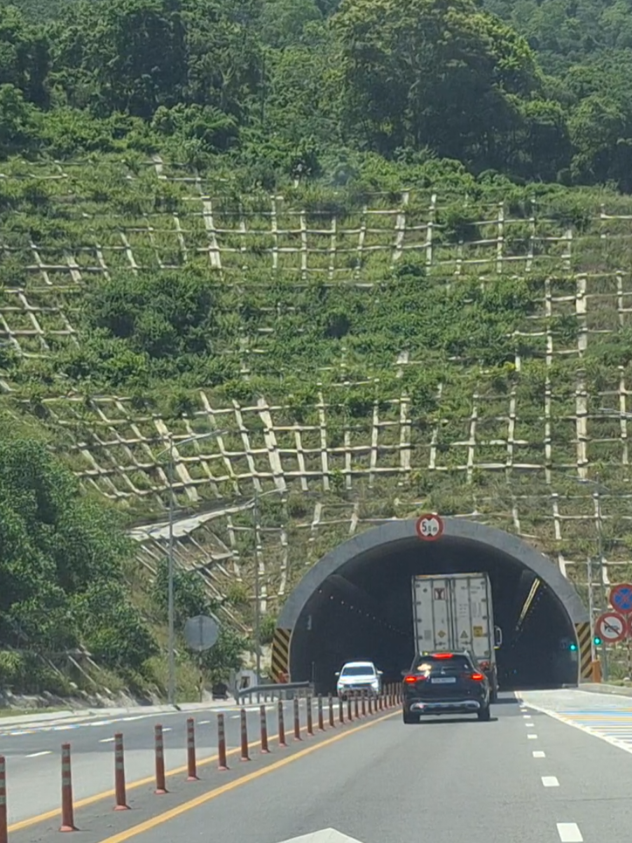 Hầm Núi Vung #caotocvinhhaocamlam #canhdepvietnam🇻🇳 #canhdongdiengio  #hamnuivung  #xuhuongdulich 