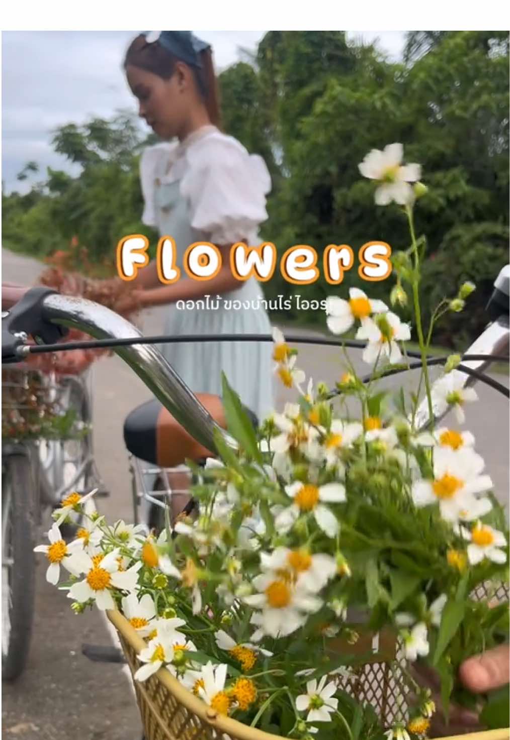 เก็บดอกไม้ธรรมดา ที่ขึ้นตามริมทาง มาเติมความสดชื่นให้บ้านไร่ และให้กับทุกคนที่เดินทางมาหากันในวันหยุดยาวนี้ค่ะ  🌼💐🌸 #บ้านไร่ไออรุณ #baanraiiarun #คาเฟ่ #คาเฟ่ธรรมชาติ #cafe #flowers #goodvibes #goodmood #holidays #vacations #relax #homestay #farmstay #tiktokกินเที่ยว #ธรรมชาติบําบัด #เทรนด์วันนี้້ #ระนอง #ranong #thailand #tiktokviral #chill 
