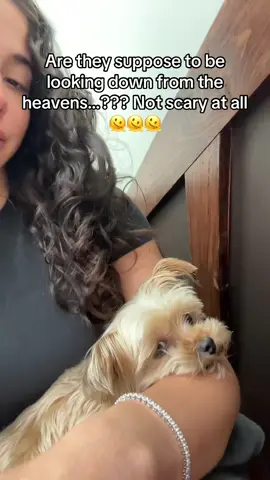 Is this crazy or no? Like if they had this in my hospital room I’d think it’s ggs for me. 