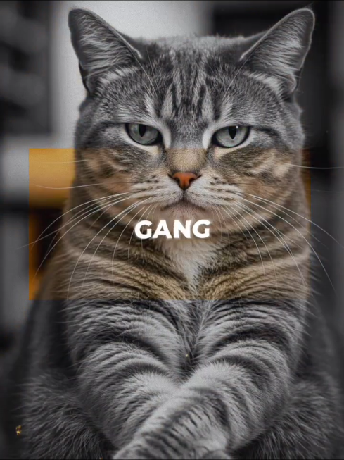 versi 3:4 #CapCut #templatecapcut #liriklagu #guccigang 