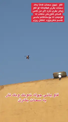 #foryou #foryoupage #fipシ 