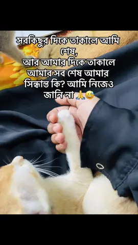 ছুর দিকে তাকালে আমি শেষ, আর আমার দিকে তাকালে আমার সব শেষ আমার সিন্ধান্ত কি? আমি নিজেও জানি না 🙏😅#foryoupage #lost #Love 