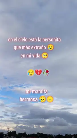 #video#viral#ftypシ 🥺 #La#extrñomamita😭 