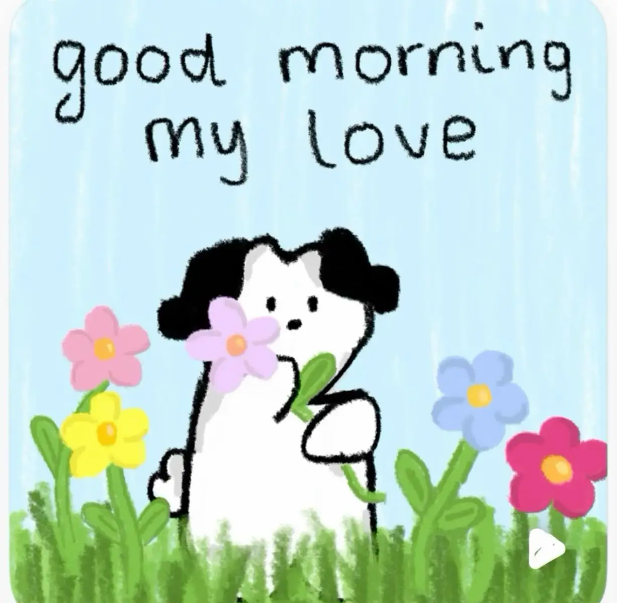 #viral #cuti #missyou #goodmorning #mylove 