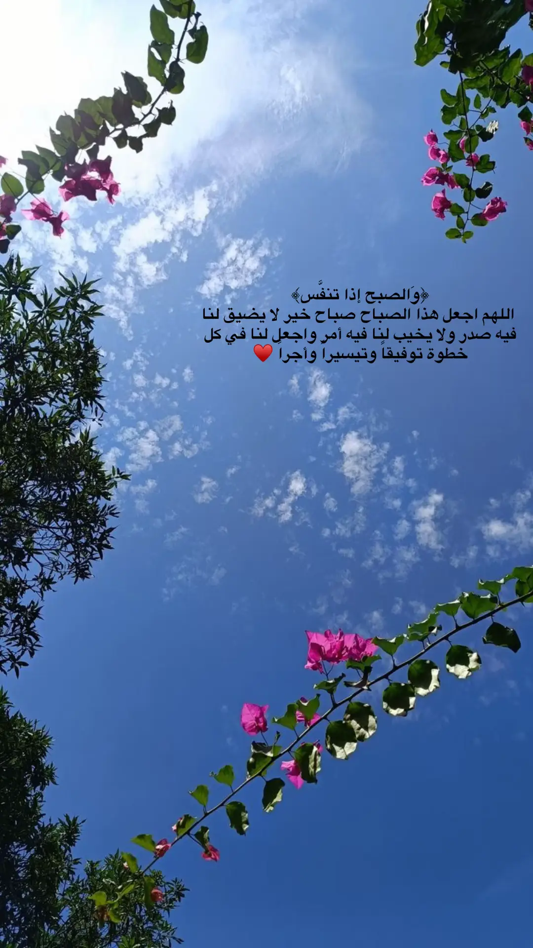 #والصبح_إذا_تنفس #صباح_الخير #دعاءالصباح #راحه_نفسيه #يوم #جديد #اللهم_صل_على_محمد_وآل_محمد #alhamdulileh 