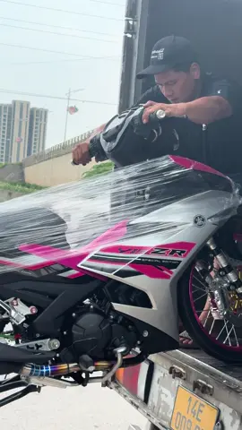 Ex kiểng về liên tục để phục vụ cho anh em🥰😍.  Ibox/zalo. 0979887401. Mình tv nha #xuhuongtiktok2024 #xhuonggggg🐰 #trendingvideo #xuhuongtiktok #exkengvn🇻🇳 #y15zrmalaysia #y15pinkviral🌸 #exkieng150🇻🇳 