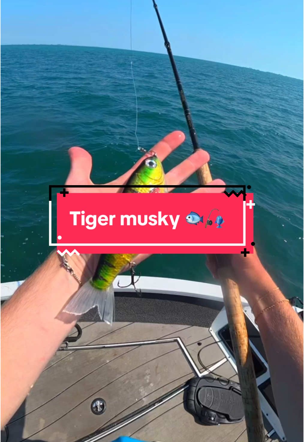 I Caught a MONSTER 🐟🎣 #fishing #fishingvideos #capcut 