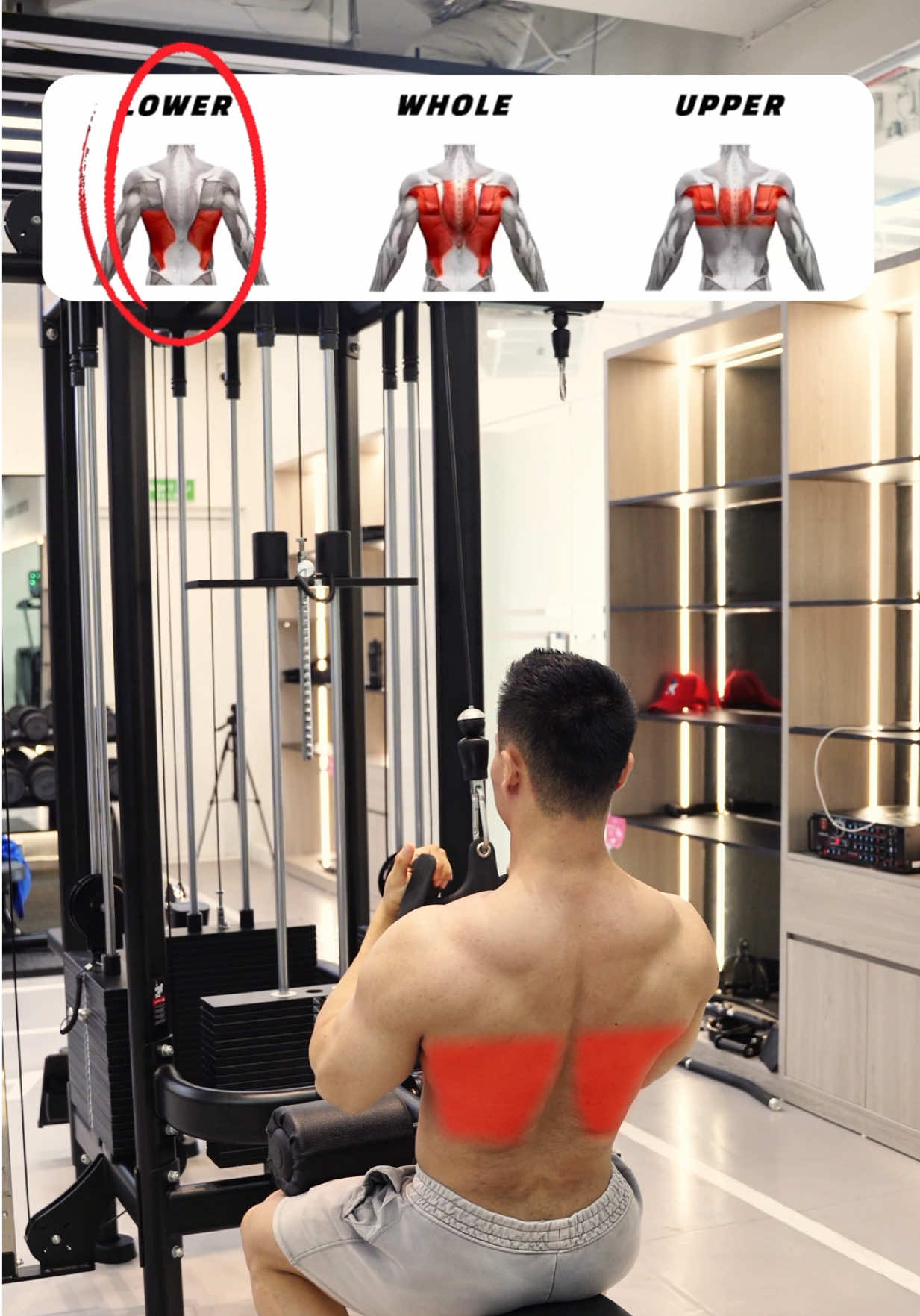 🔽 3 Types of Neutral Grip Lat Pulldowns – Target Different Areas of Your Lats 🔽 	1.	Close Grip (Lower Lats Focus) Pulling with a close neutral grip emphasizes the lower lats. This variation is ideal for building a V-taper look and enhancing definition along the lat line. 	2.	Medium Grip (Balanced Lat Activation) This grip targets the lats more evenly across the back. The slight outward angle helps with overall width and symmetry, making it great for balanced muscle development. 	3.	Wide Grip (Upper & Outer Lats Focus) A wider grip emphasizes the upper and outer lats. It’s the most effective for creating a broader back and improving upper width and structure. 🎯 Tip: Use different grips to sculpt specific areas of your lats based on your physique goals. #LatPulldown #NeutralGrip #BackDay #BackWorkout #LatWorkout #TrainingTips #GymForm #FitnessReel #WorkoutSmart #MuscleAnatomy #VShapeBack