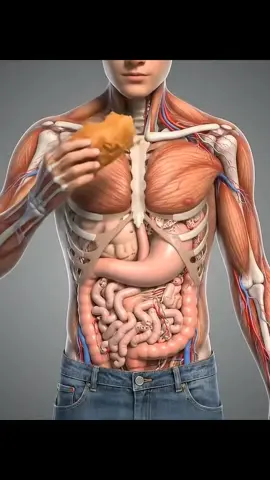 fry chicken #fypシ゚viral #foryoupage #satisfying #Ai #satisfying #Ai #asmrsounds #odlysatisfying #worms #