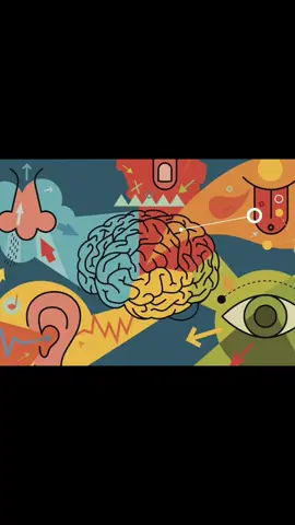 ¿QUÉ ES EL SISTEMA SENSORIAL? 🤔⁉️ #anatomia #sistemas #enfermeria #estudiantes #paratiiiiiiiiiiiiiiiiiiiiiiiiiiiiiii #fyppppppppppppppppppppppp #tienesquesaber 