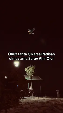 𝐑𝐀𝐂𝐎𝐍 𝐒𝐎̈𝐙𝐋𝐋𝐄𝐑𝐈̇ 𝐀𝐋𝐀𝐋𝐈𝐌🗽#yukselx272 #keşfet #storytime #fypシ゚ #fypage #viralvídeos 