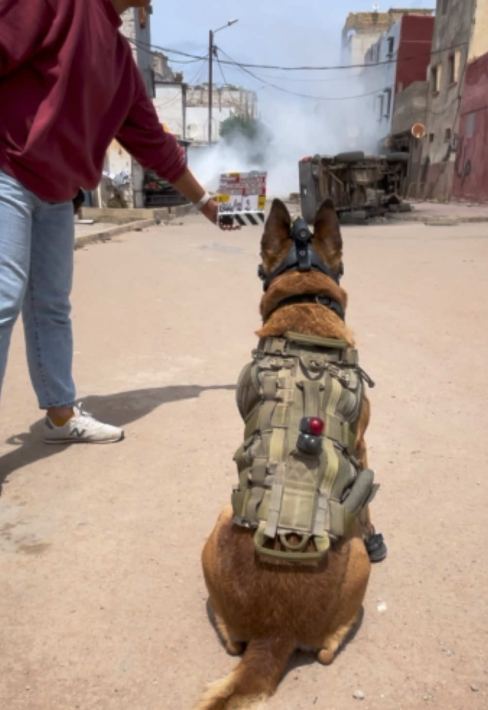 Cœurs noirs saison 2  Training with “K9Tyson” K9vision.fr  #DogTraining #caniops #k9 #malinois #mwd #policedog #caniopsremoteguidance #dirigement #k9visionsystem#k9vision#coeursnoirs #tysonofcoeursnoirs 