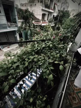 cố nhắm mắt anh lướt đi thật nhanh..
