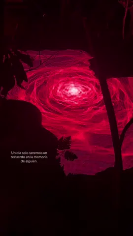 #zoe #skr #fyp #dream #musica #paratiiiiiiiiiiiiiiiiiiiiiiiiiiiiiii #thissong 