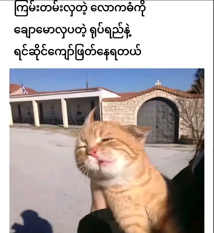#jointrend @saizawhein1783 မင်းjoinခိုင်းလို့🙂 #မင်းတို့idolဖစ်ချင်လို့🤭💖 #ဒါလေးတော့joinလိုက်ပီ🥺🤭❤️ #fyp 