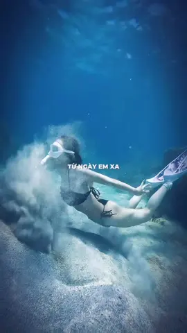 em xuống nước không phải vì em biết bơi…hẹ hẹ hẹ #Freediving #freedivingphuquy #lantudo 