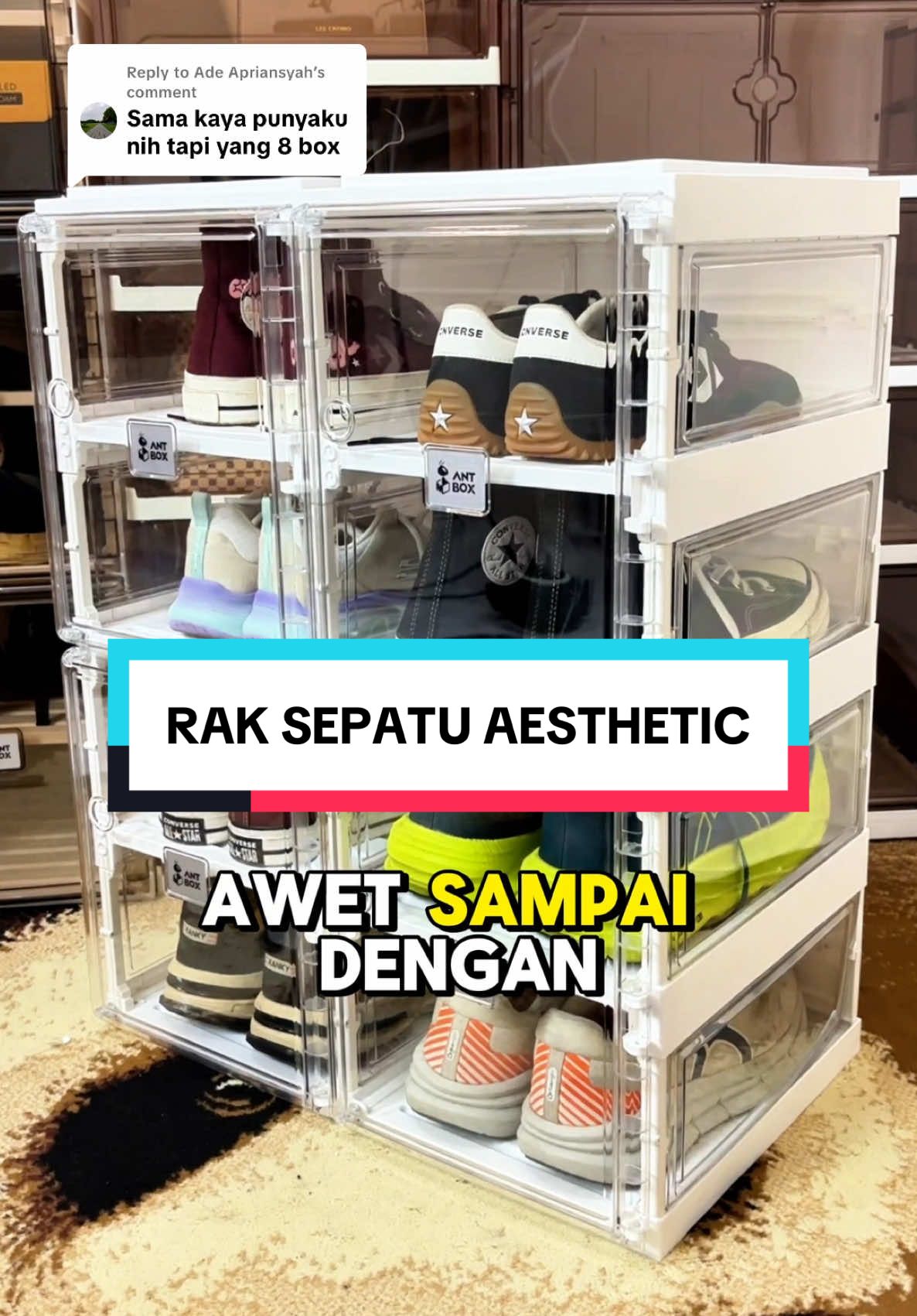 Replying to @Ade Apriansyah Rak sepatu aesthetic #raksepatu #raksepatumurah 