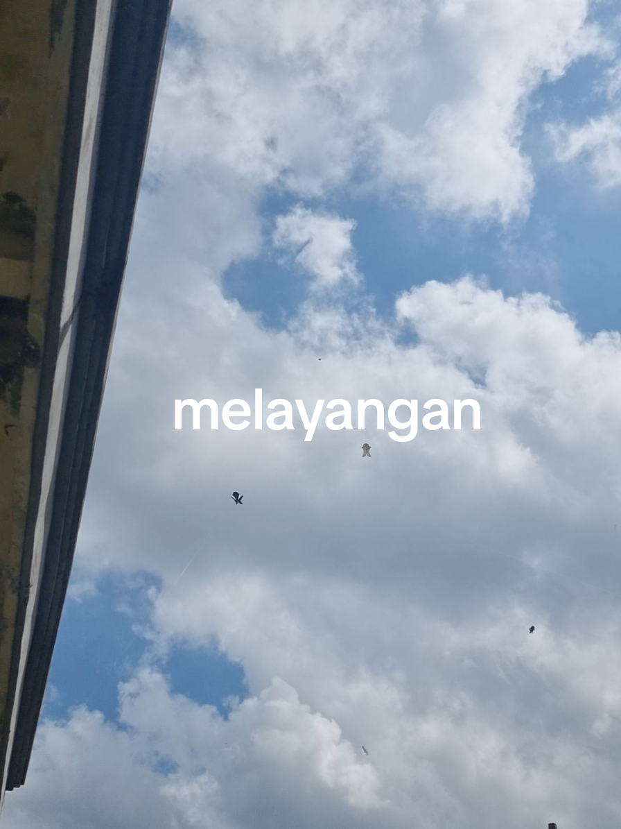 hobby dari kecil sampe lingsir😁