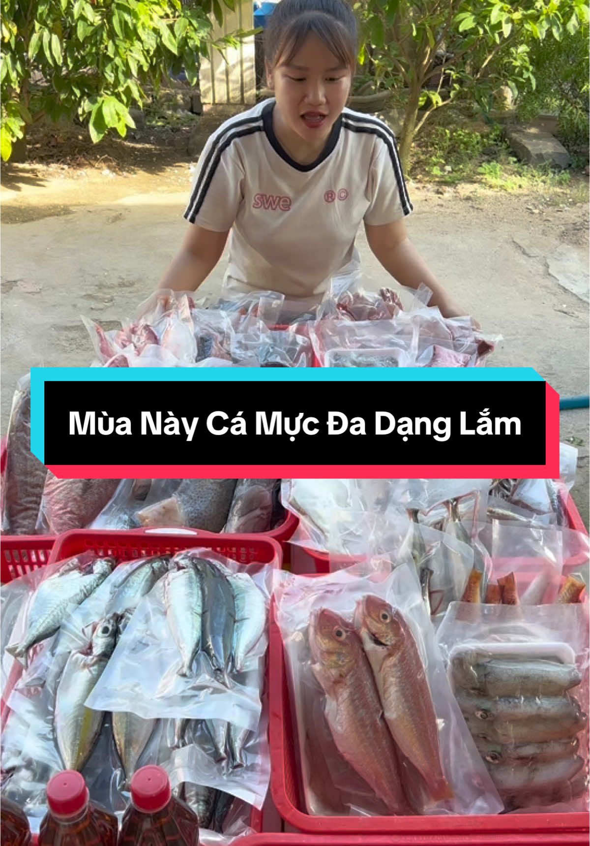 Mùa này biển Ny đa dạng cá mực lắm #cá #mực #haisan #hảisản #cábiển #xuhuong #thinhhanh #76quangngai #quangngai #fyb 