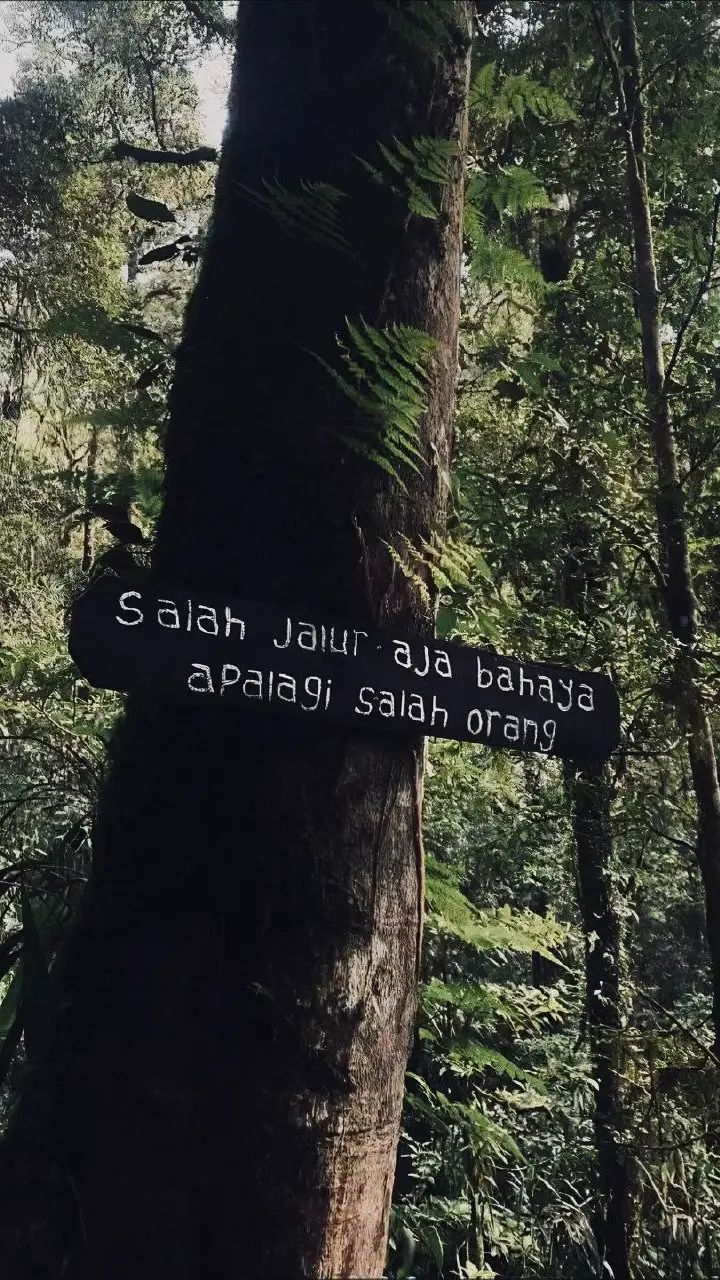 #papandayan #papandayanmountain #papandayangarut 