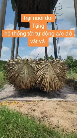 trai nuôi dơi  tời tự động lh @868054419