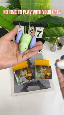 With this electric mouse, you don't have to worry about your cat being bored anymore