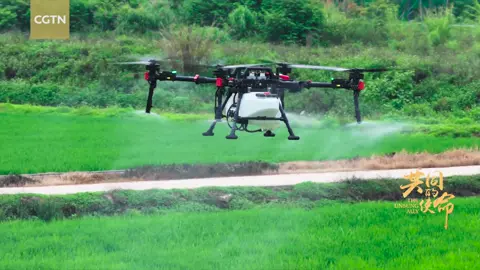 Guangzhou's High-tech Farm Revolution #guangzhou_china