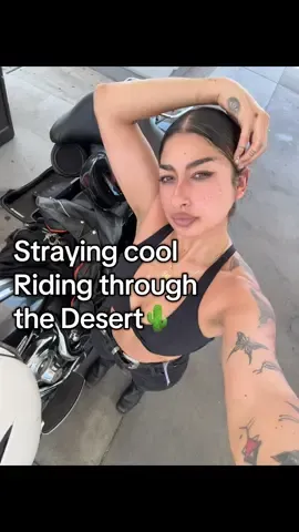 Doing that stuff makes a world of difference to me. It makes the ride go from miserable and on the verge of heat stroke, to refreshing and much easier.  being a Passenger princess is so hard.  #foryou #motorcycle #harleydavidson #touringbike #motorcyclesoftiktok #passengerprincess #foryoupage #roadtrip #adventure 