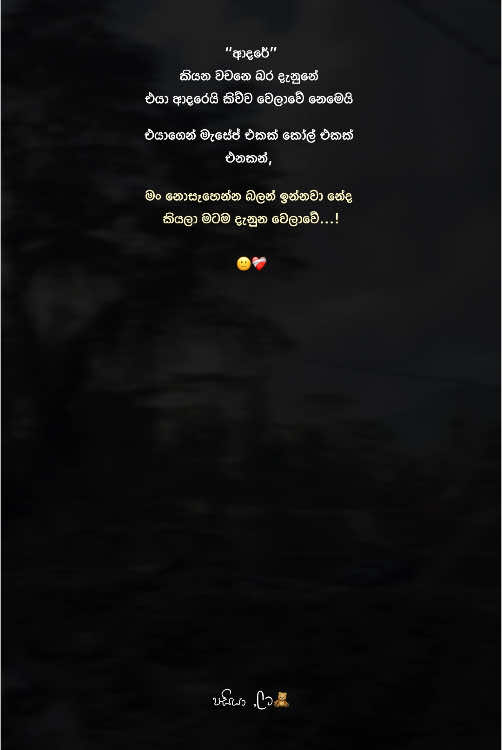 ඇත්ත නේද...! 🙂❤️‍🩹 #pasiya_status #fyp #fypシ  #quotes #sinhala #fyppppppppppppppppppppppp #foryoupage #viral 