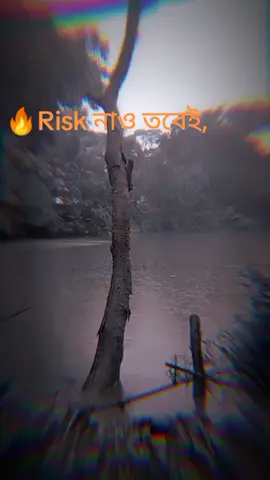 #Risk #is#the#most#popular💯💥👑🔥