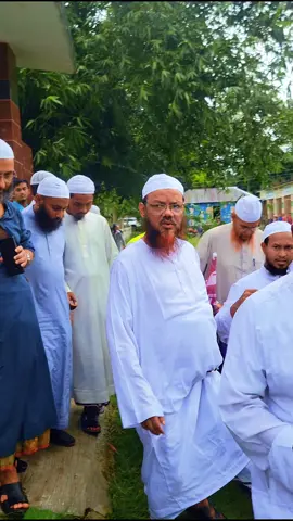 ইসলামী আন্দোলন বাংলাদেশ  ইসলাম মানে একটা পাওয়ার  🌿🌿☠️😎☠️