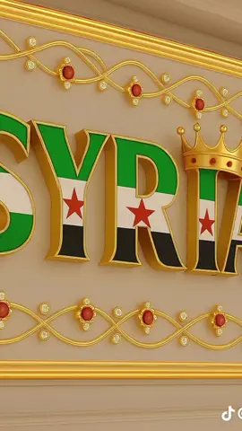 #سورية  والنعم مني💚🤍🖤❤️، تصاميم حلوي لعلم بلادي  أفكار لصور للحالات🥰 #مجرد________ذووووووق  #الشعب_الصيني_ماله_حل😂😂 # #افكاروابداعات -الشعب السوري👀🤭😅
