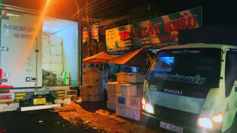 #nghềtàixế #hót_nhất_hiện_nay #tráicaykieu 