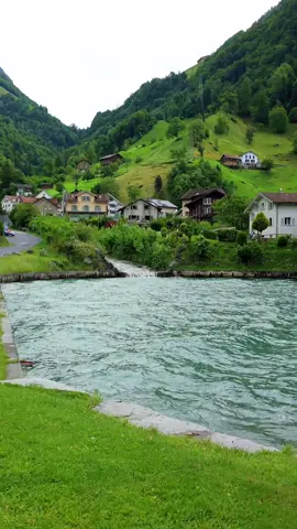 هنا في سيسكون… كل شيء هادئ كأن الزمن توقف 🍃 صوت الماء، لون الطبيعة، وسكون يعانق القلب 💚 📍Sisikon – سويسرا #سويسرا #سيسكون #قرى_سويسرية #طبيعة_ساحرة #رحلة_استرخاء #اكتشف_العالم #هدوء #تيك_توك