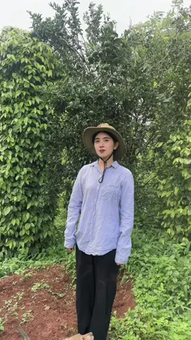 Nổi  buồn không trọn vẹn 😡