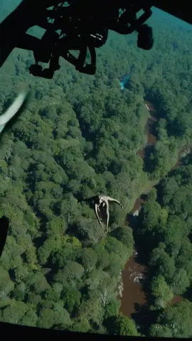🛑 Leaked Footage! U.S. Military spotted chasing a classified alien creature in the Amazon jungle. Real or cover-up? 👽 Watch closely… they don’t want you to see this. 🎥🌿 #AlienEncounter #LeakedFootage #USMilitary #AmazonMystery #AlienInTheAmazon #TopSecretMission #ClassifiedCreature #UFOsighting #AlienTikTok #ForbiddenFootage #UnexplainedEvents #ConspiracyTok #HiddenTruths #CreepyTok #SciFiRealLife #GovernmentSecrets #StrangeCreatures #AliensAmongUs #GlitchInTheMatrix #MysteryFiles