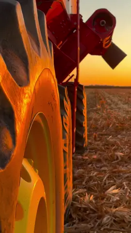 😍❤️‍🩹 #viralvideos 