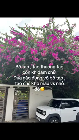 V nhá#xh #xuhuong #xuhuongtiktok #xhtt #🐽 