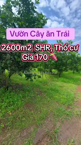 LH::o353.2.38.62.2 #datvuon #datvuon3500m2 #datnha4cap #datngop #datcatlo #datvuongiare #batdongsan2025 #dautudat #datnghiduong #datgiare #trending #viral #xuhuong #video #tintuc #trending #flypシ