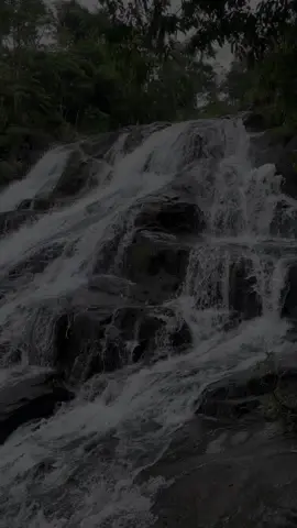 Nhìn suối chảy, lòng thấy bình yên đến lạ. Như dòng thời gian cuốn trôi hết mọi mệt mỏi, áp lực. Cứ cho phép mình được nghỉ ngơi, rồi lại mạnh mẽ bước tiếp nhé! Bạn đã làm rất tốt rồi! ✨   * #binhyen  * #chill  * #healing * #thiennhien  * #suoichay  * #phongcanh