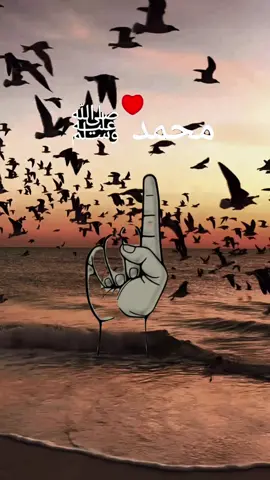 اكثروا من الصلاه على رسول الله صلى الله عليه وسلم 🤍🕊️ #يوم_الجمعه_اكثرو_من_الصلاة_على_النبي💕 #يوم_الجمعه #شباب #صبايا #اسمع #اللهم_صل_وسلم_على_نبينا_محمد #اكثروا_من_الصلاة_على_نبينا_محمد #اللهم_صلي_على_نبينا_محمد #ليله_الجمعه #ادعية_اسلامية_تريح_القلب #اسلاميات #لايكات #hanan🤲 #foryou #fypシ゚ #viral 