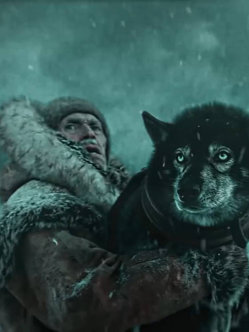 The lead puppy saved a whole team of puppies #tvshow #movieclip250 #HBO #movie #movieclip #edit #series