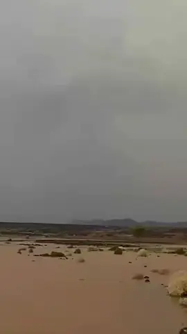 اقبل حبيب يضيق البال القلب شبت الواهيبه 