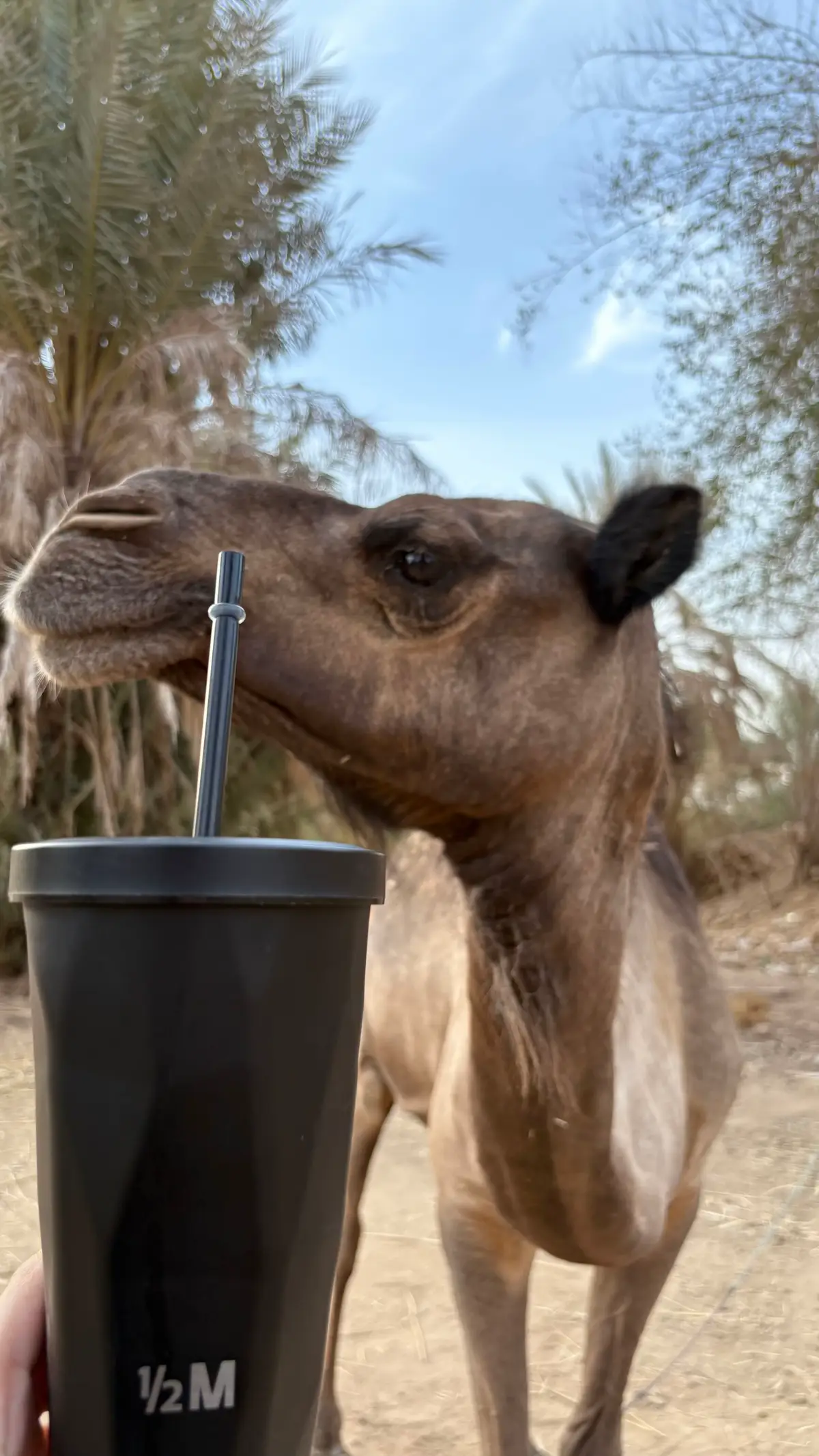 اسمر الون 🥹🖤. #اسمر #الشعب_الصيني_ماله_حل😂😂 #اكسبلورexplore #ترندات_تيك_توك 