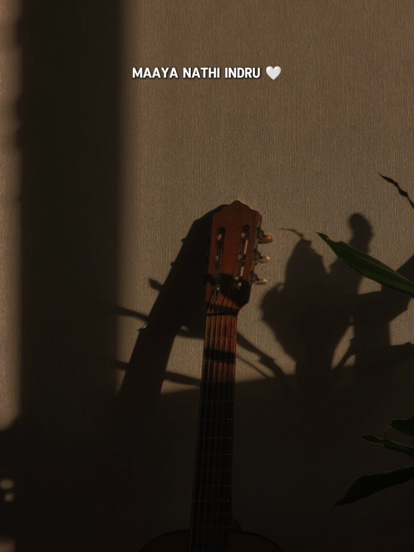 Maya Nadhi 🤎  #mayanadhi #fyp #lostinmusic🎶 #kausaliya🤍 #tamilsong #contentcreator #tamilmusical_ly #tiktok #300k #editor #❤️ @𝓛𝓸𝓿𝓮𝓶𝓾𝓼𝓲𝓬_t. 🌚💜 @H O O N E D I T Z 🌸. @🪐𝓿𝓲𝓫𝓮𝓲𝓷𝓶𝓾𝓼𝓲𝓬 @𝙈𝘼𝙆𝙄𝙉𝙏𝙃𝘼𝙉 𝙁𝙓 🐼💗🍃 @𝐌𝐮𝐬𝐢𝐜 𝐃𝐞𝐬𝐭𝐢𝐧𝐲🪐. @มาโช ยูเกน 🤍 💎 🔖 @M U S I C  H E A V E N 💎🪬 @🪐✧𝙅𝙀𝙉𝙐 𝙁𝙓✧🥀 @Sunshine's Edit🤍